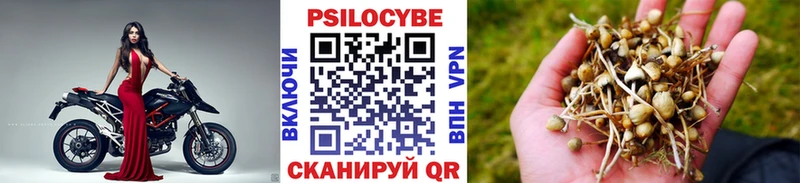 площадка формула  Почеп  Галлюциногенные грибы прущие грибы 