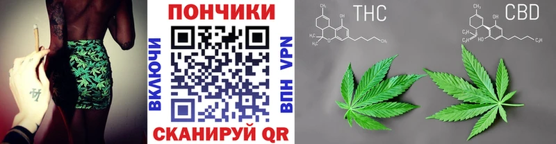 Каннабис ГИДРОПОН  Почеп 